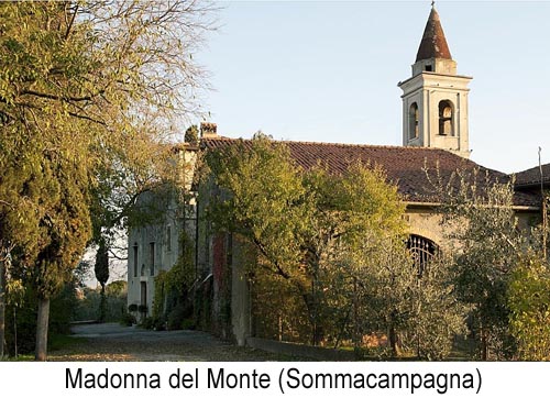 monte